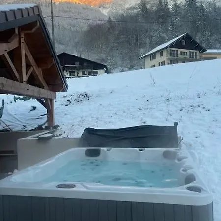 Luxueuse Avec Sauna Et Jacuzzi *