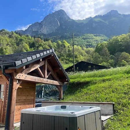 Luxueuse Avec Sauna Et Jacuzzi *